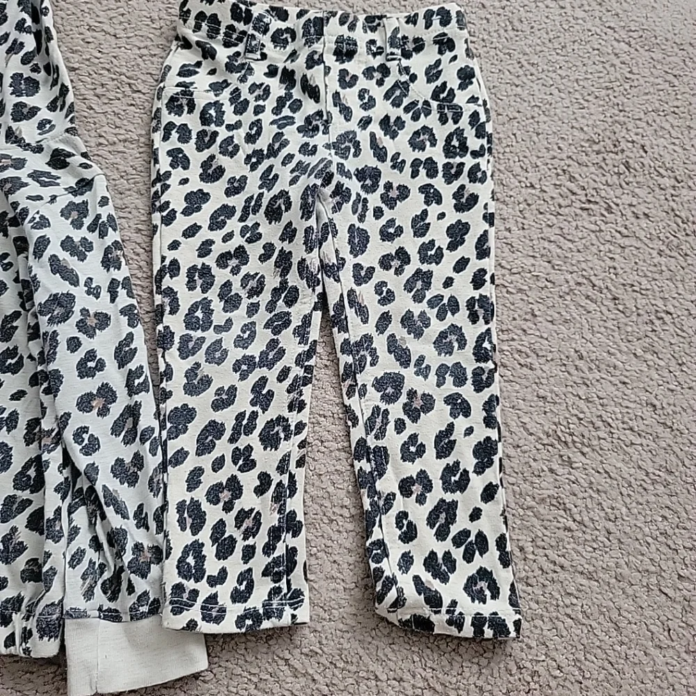 Garanimals Toddler Girl's Set